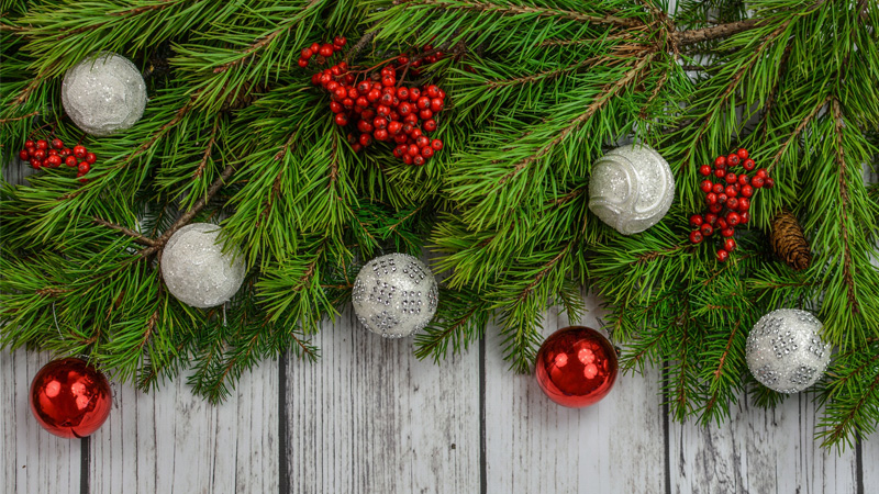 Kürzere Stallöffnungszeiten zu den Festtagen&nbsp;2020