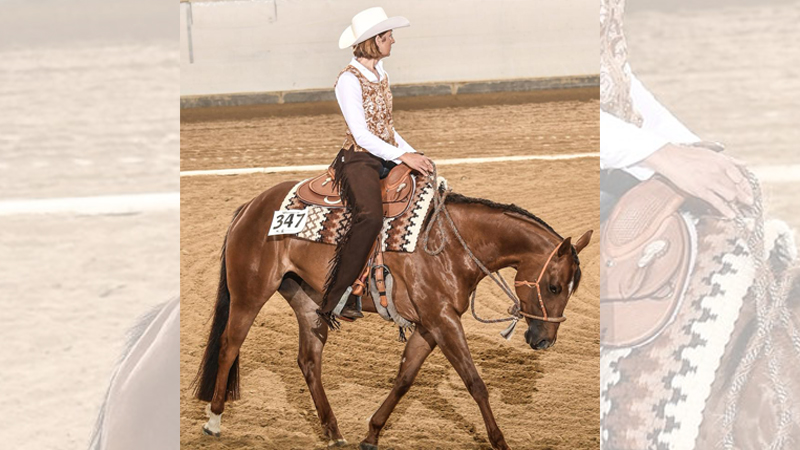 Westernreitkurs – Basics and more – mit Gabi Kelch am 24. und&nbsp;25.07.2021