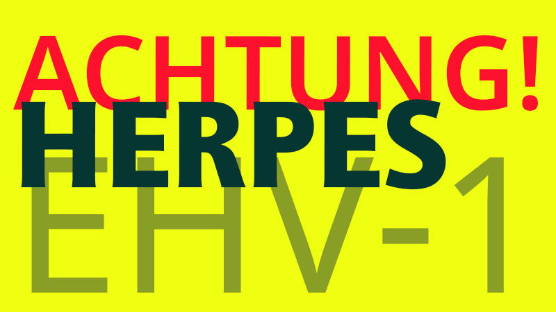 Herpes-Epidemie in Europa, wie können wir uns&nbsp;schützen?