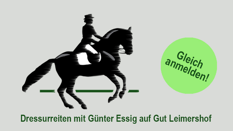 Dressur mit Günter Essig vom 26. bis&nbsp;27.02.2022