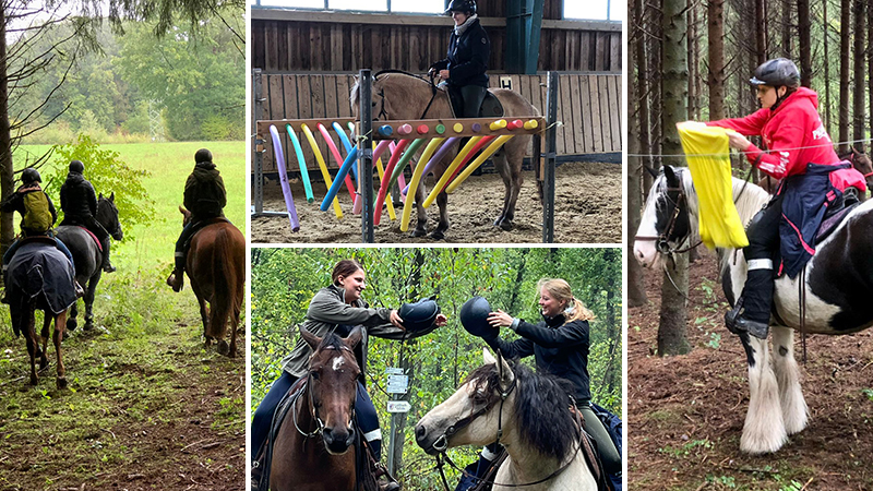 Das war der Orientierungsritt vom RV Gut Leimershof am&nbsp;02.10.22