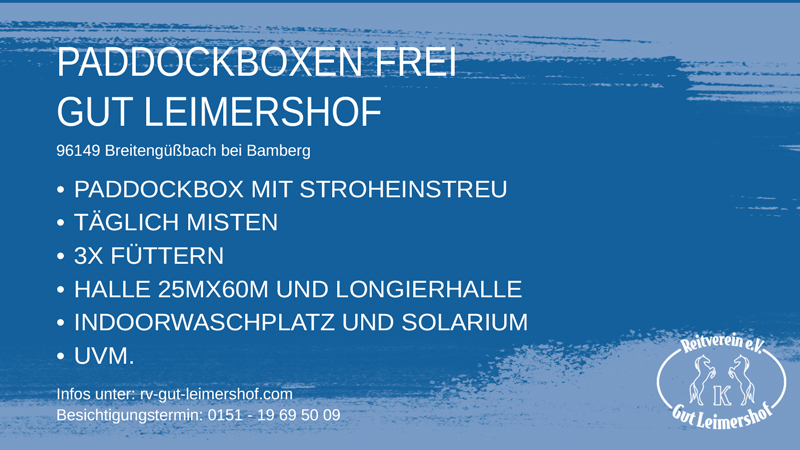 Paddockboxen frei! Alle Reitweisen sind&nbsp;willkommen!