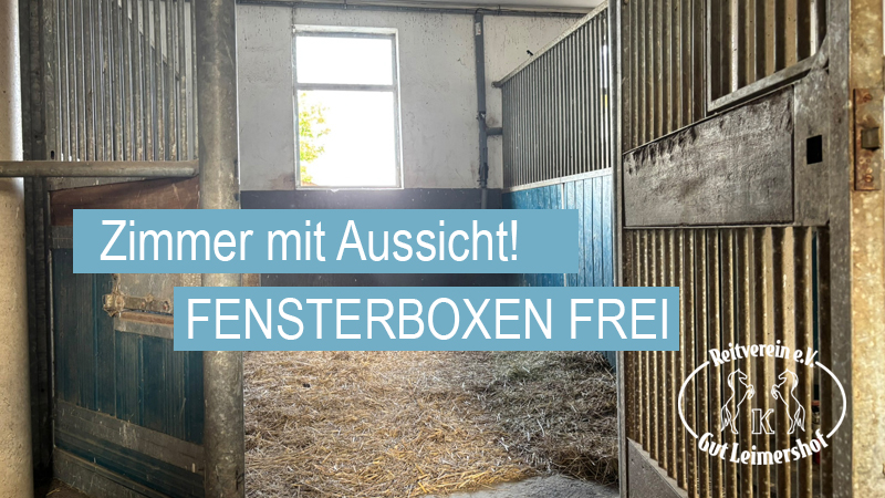 Fensterboxen frei! – Dein Pferd auf Gut&nbsp;Leimershof