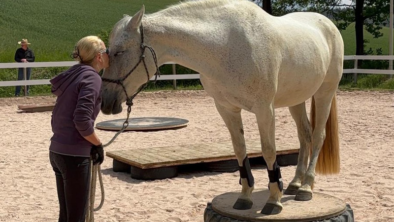 ABGESAGT! – Mobilen Trail auf Gut Leimershof am&nbsp;19.10.25