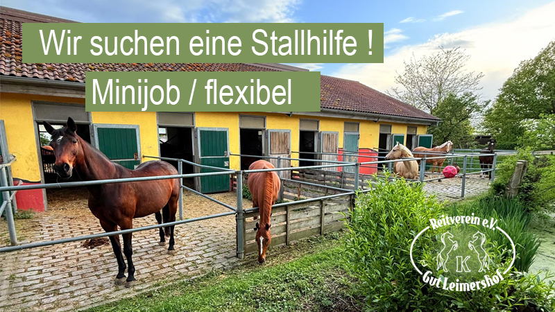 Stallhilfe (m/w/d) auf Minijob-Basis gesucht – Reitverein Gut Leimershof (Raum&nbsp;Bamberg)
