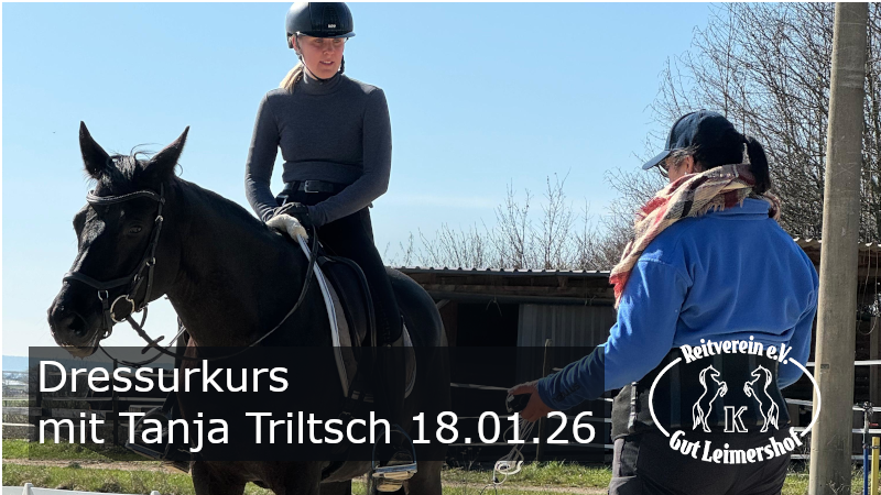 Dressurkurs mit Tanja Triltsch&nbsp;18.01.26